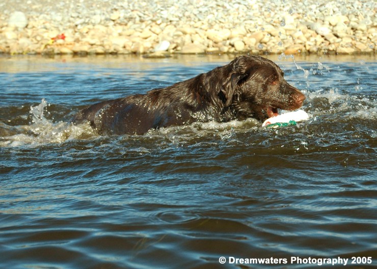 beau  Grabs Dummy 1.jpg